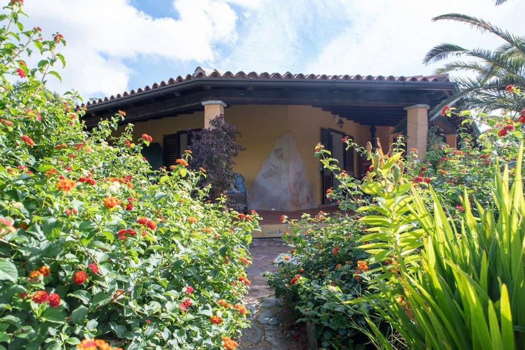 Residence Villa Smeralda Telti المظهر الخارجي الصورة